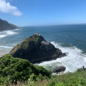 Meet your Posher, Rae